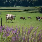 Farm stay Farm Kramer Bistrica ob Sotli