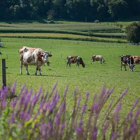 Alloggio per agriturismo Farm Kramer Bistrica ob Sotli